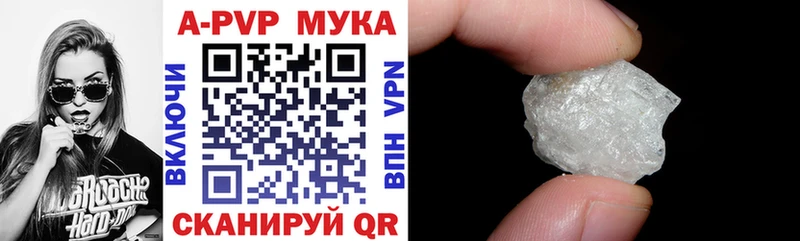 Купить закладки  Шарья  A-PVP Соль 