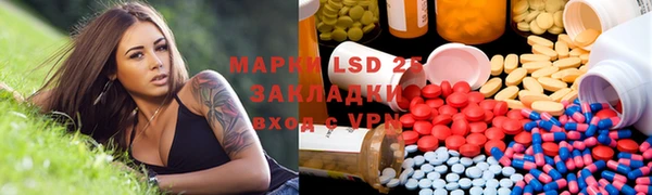 индика Богородицк