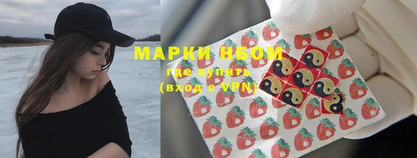 индика Богородицк