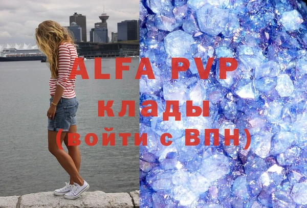 индика Богородицк