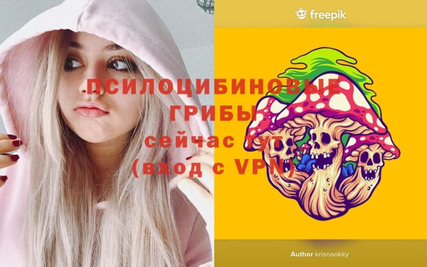 jwh Богородск
