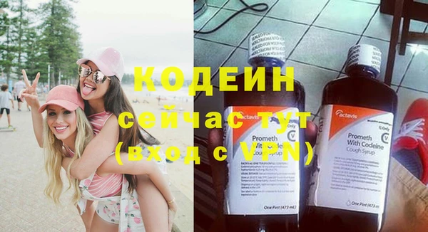 индика Богородицк