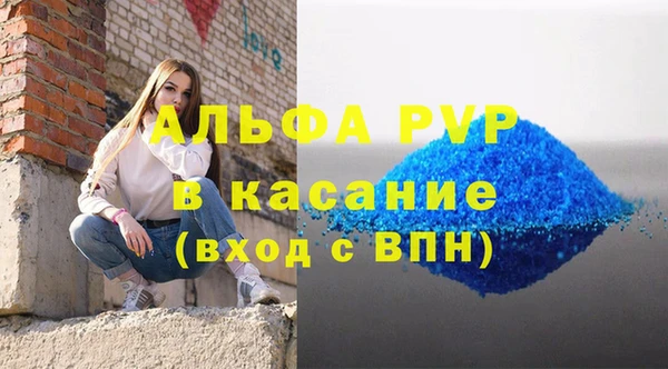 индика Богородицк