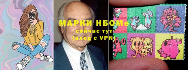 индика Богородицк