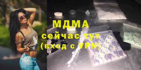индика Богородицк