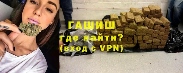 индика Богородицк